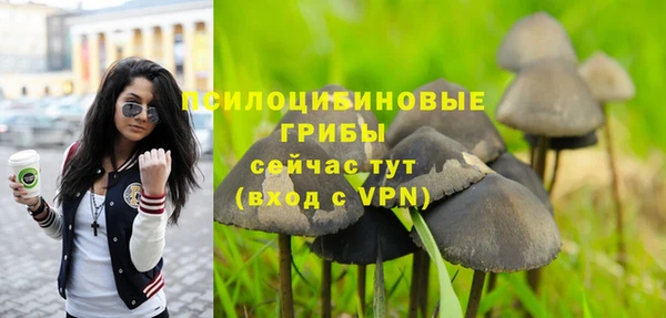 ALPHA-PVP Краснослободск