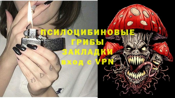 ALPHA-PVP Краснослободск