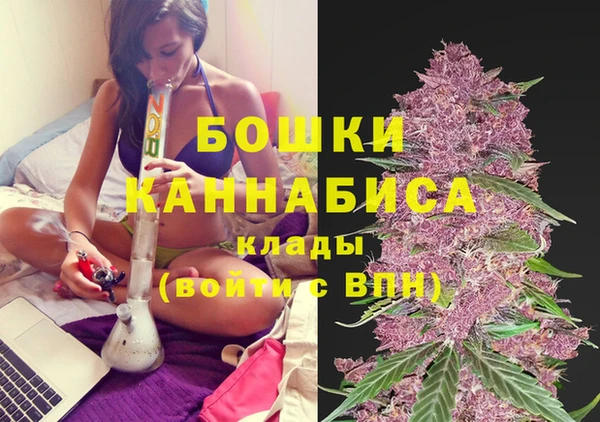 ALPHA-PVP Краснослободск